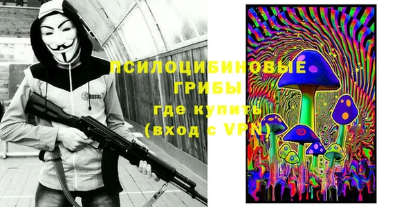 хмурый Алзамай
