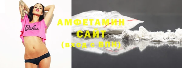 хмурый Алзамай