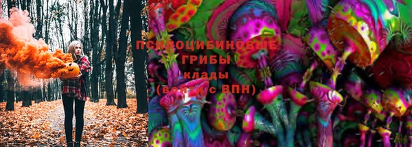хмурый Алзамай