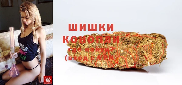 прущие грибы Аркадак
