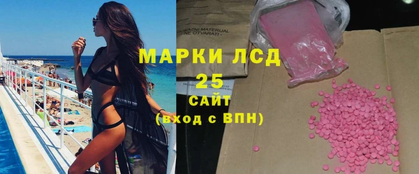 хмурый Алзамай
