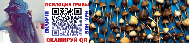 Галлюциногенные грибы Psilocybe  Кологрив 